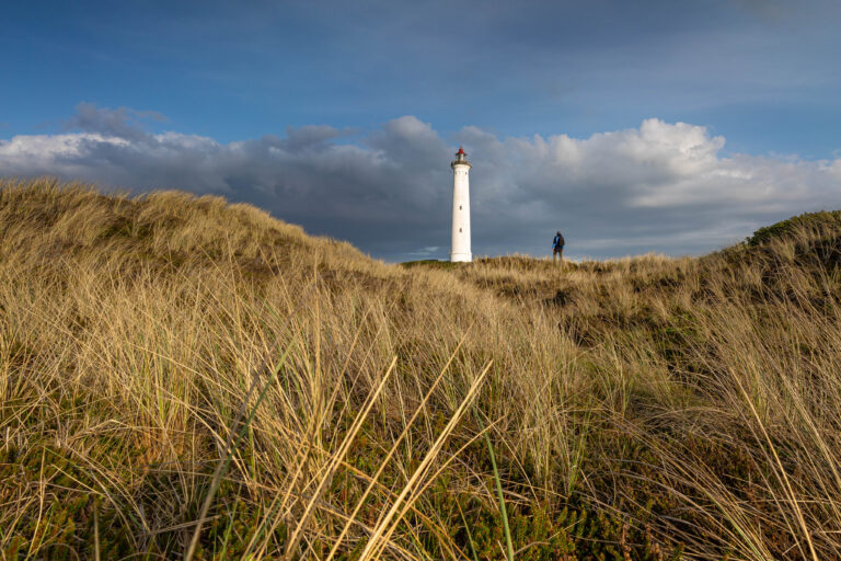Lyngvig-