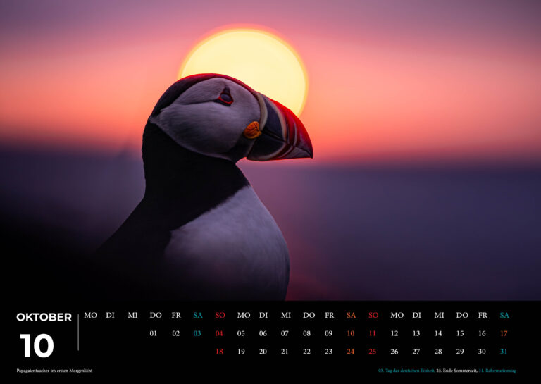 Island Kalender 2026