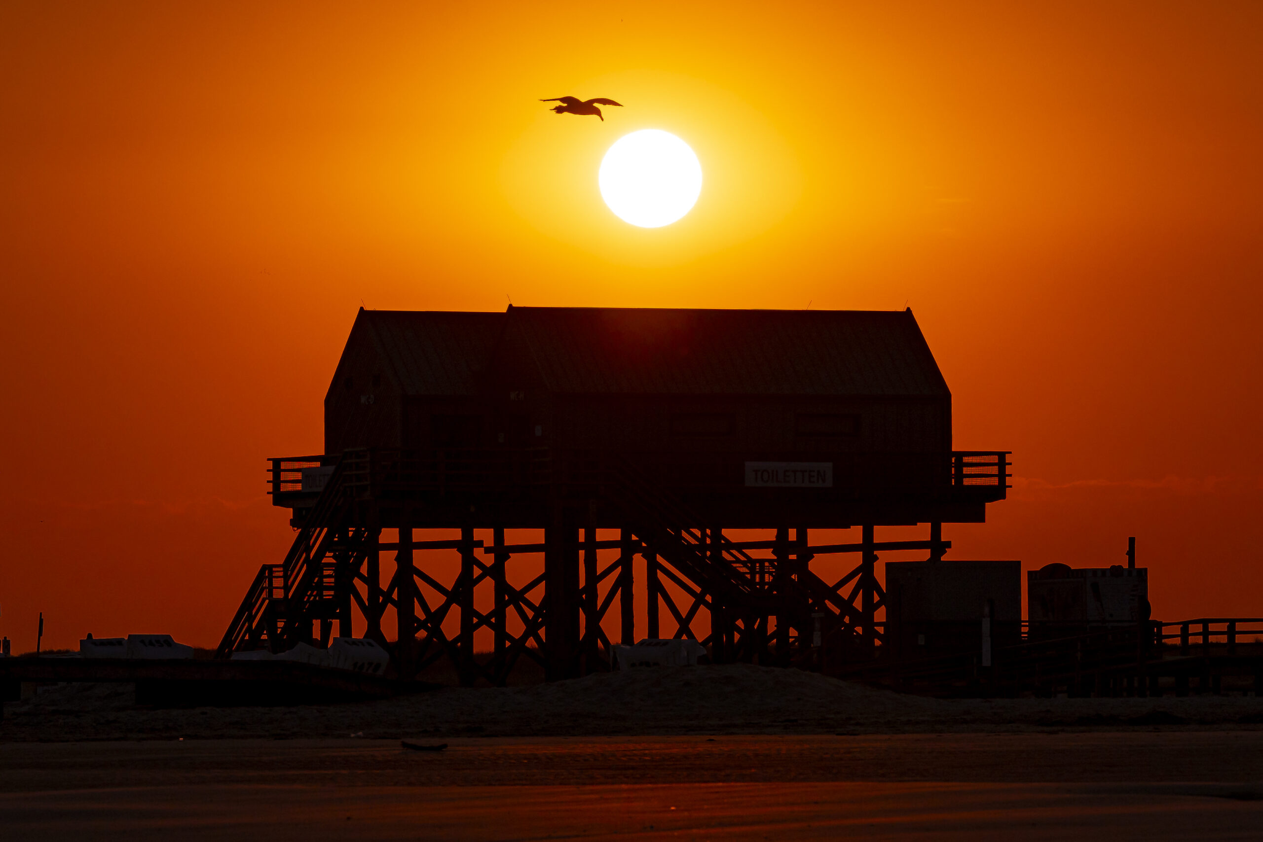 Tagesworkshop Sankt Peter-Ording 2026