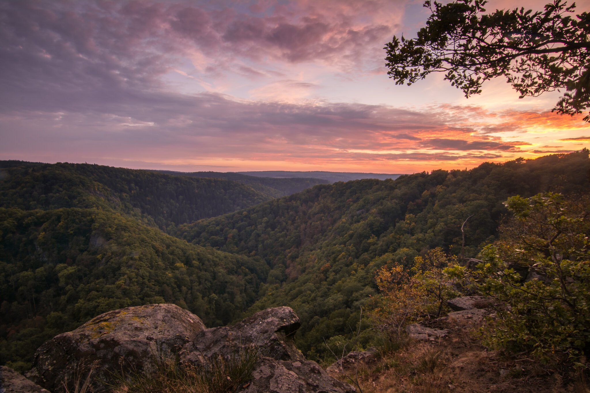 Fotoworkshop Harz