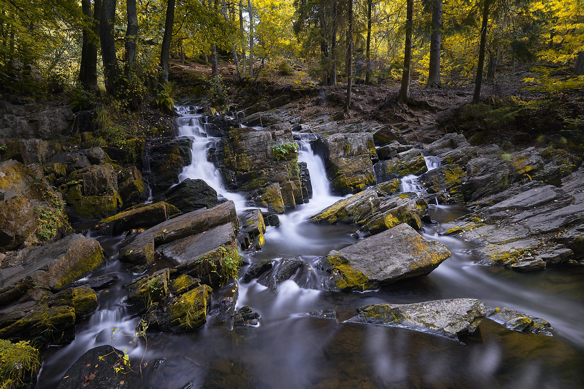 Fotoworkshop Harz